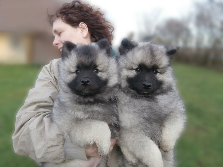 Jane Kirkegaard Madsen